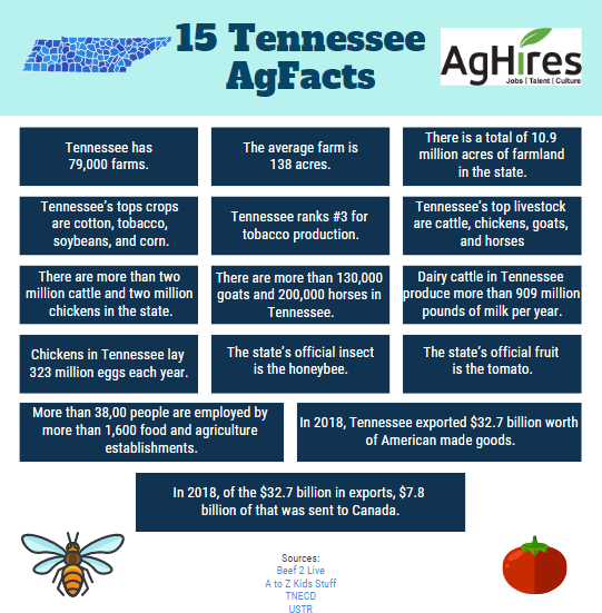 United States visual data 6